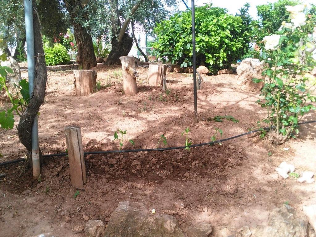 Alojamientos Rurales La Loma Pozo Alcón Εξωτερικό φωτογραφία